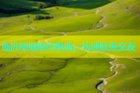 临沂同城炮约电话，快速联系交友