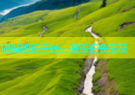 同城炮约平台，真实约会交友