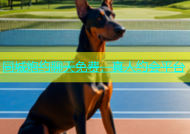 同城炮约聊天免费，真人约会平台