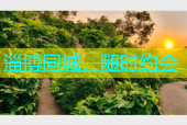 淄博同城，随时约会