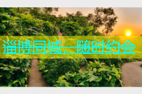 淄博同城，随时约会