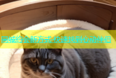 同城约会新方式 快速找到心动伴侣