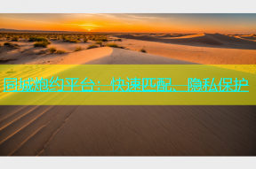 同城炮约平台：快速匹配、隐私保护