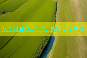枣庄同城QQ号码，快速交友平台