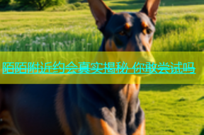 陌陌附近约会真实揭秘 你敢尝试吗