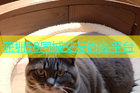 深圳58同城交友约会平台