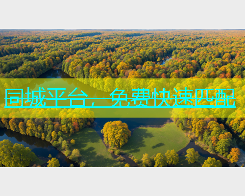 同城平台，免费快速匹配  第2张