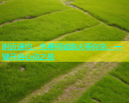 附近速约，免费同城炮火等你来，一键开启心动之旅  第2张