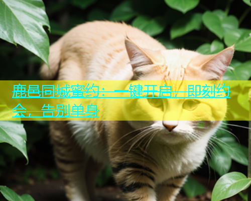鹿邑同城蜜约：一键开启，即刻约会，告别单身  第1张