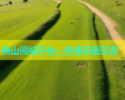 佛山同城平台，快速见面交友  第1张
