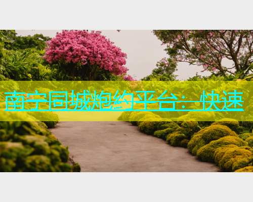 南宁同城炮约平台：快速  第2张