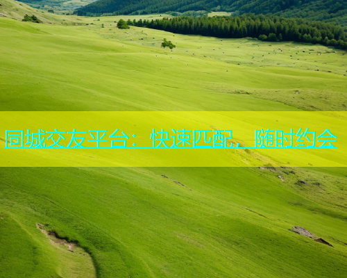 同城交友平台：快速匹配，随时约会  第2张