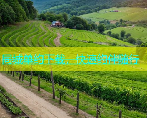 同城单约下载，快速约伴随行  第1张