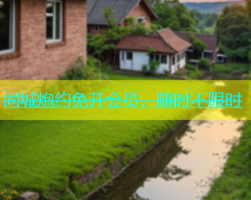 同城炮约免开会员，随时不限时  第1张