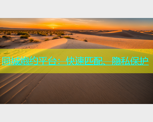 同城炮约平台：快速匹配、隐私保护  第1张