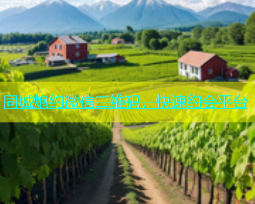 同城炮约微信二维码，快速约会平台  第1张