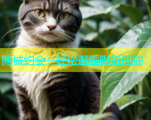同城约会：轻松邂逅附近的你  第1张