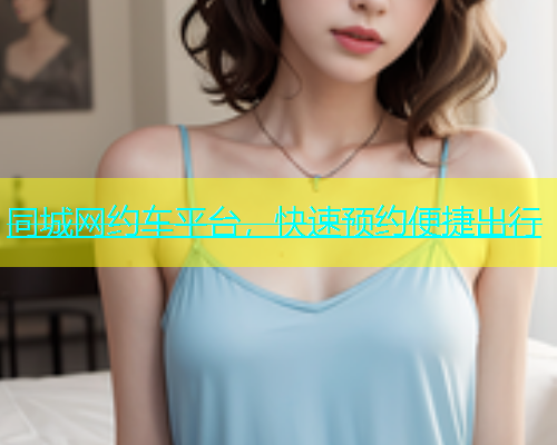 同城网约车平台，快速预约便捷出行  第2张