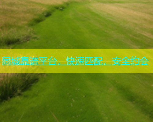 同城靠谱平台，快速匹配，安全约会  第1张