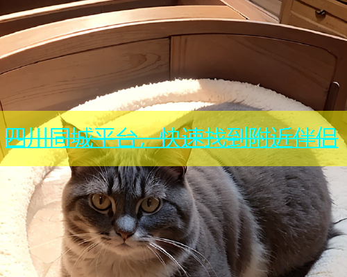 四川同城平台，快速找到附近伴侣  第1张