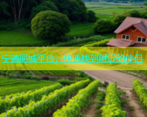 宁德同城平台，快速找到附近的伴侣  第1张
