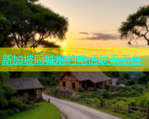 新加坡同城炮约电话联系平台  第1张