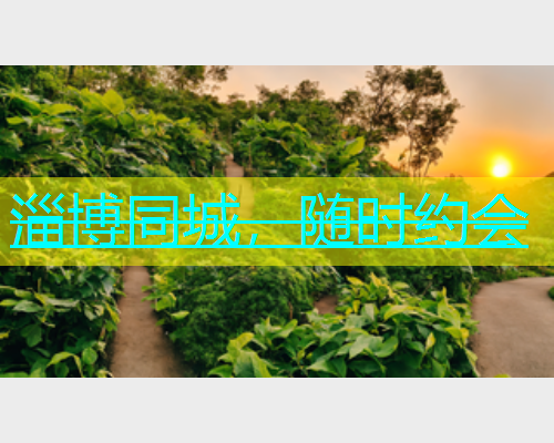 淄博同城，随时约会  第1张