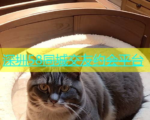 深圳58同城交友约会平台  第1张